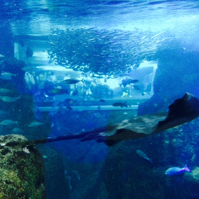 f0193680_1454791.jpg