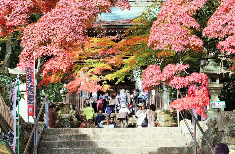 四国88か所霊場　結願寺大窪寺の紅葉_d0160788_1929571.jpg