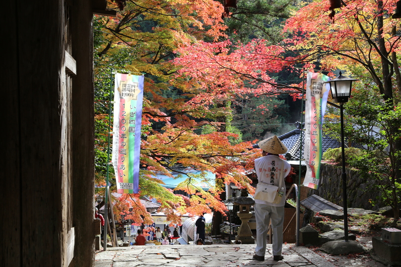 四国88か所霊場　結願寺大窪寺の紅葉_d0160788_19305417.jpg