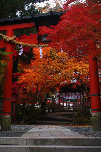 鍬山神社_e0051888_22184678.jpg