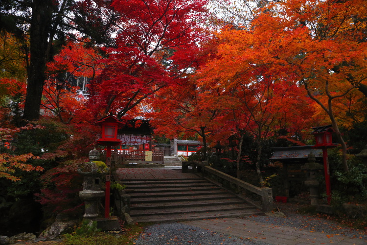 鍬山神社_e0051888_22185778.jpg