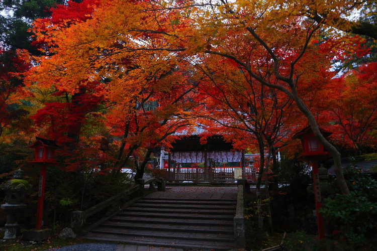 鍬山神社_e0051888_22191526.jpg