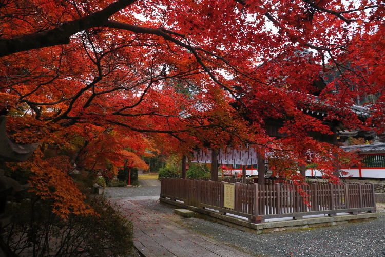 鍬山神社_e0051888_2219261.jpg