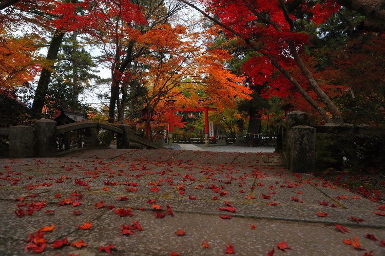 鍬山神社_e0051888_22193795.jpg