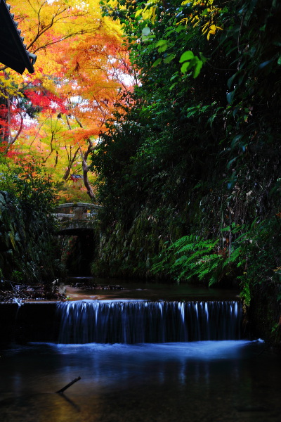 鍬山神社_e0051888_22194724.jpg