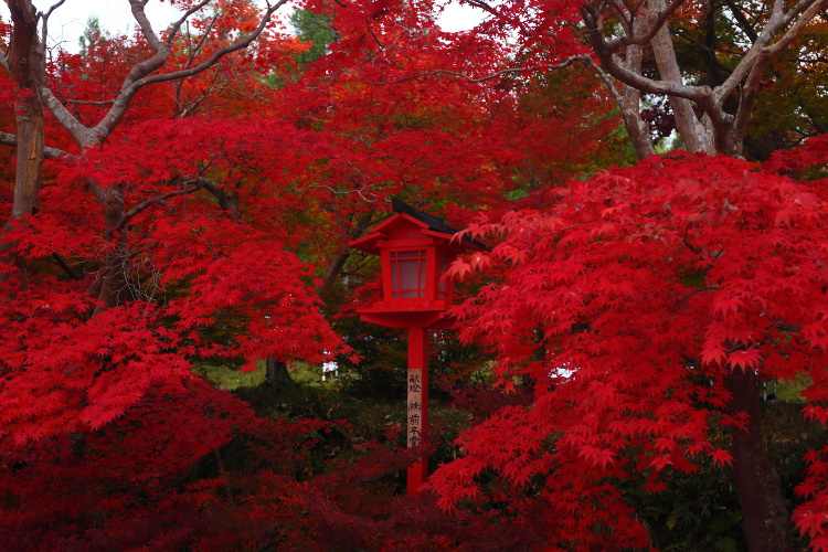 鍬山神社_e0051888_22195838.jpg