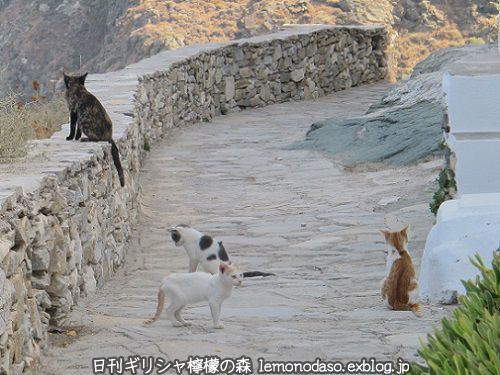 シフノスの美しいカストロ村の写真_c0010496_19310277.jpg