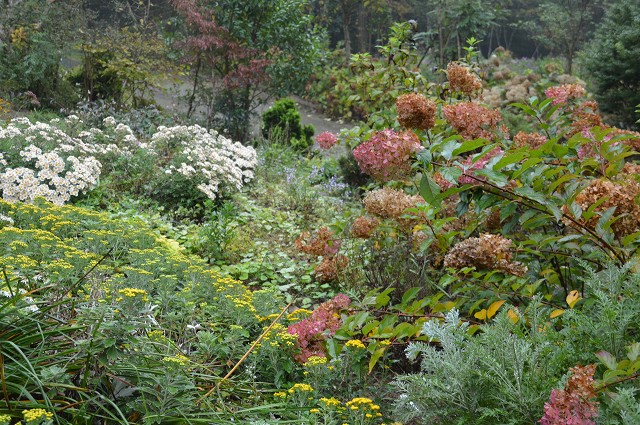 2013.11.03. ダリア園・植花夢_c0124100_18584877.jpg