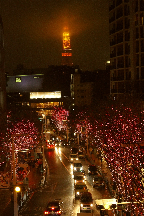 雨の東京タワーとけやき坂のイルミネーション_b0190710_23375922.jpg