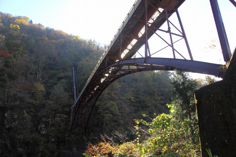 f0201711_2318860.jpg