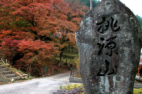 紅葉だより10 桃源山地蔵院_e0048413_16161645.jpg