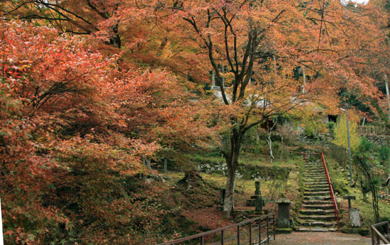 紅葉だより10 桃源山地蔵院_e0048413_16162527.jpg