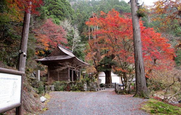 紅葉だより11　大悲山峰定寺_e0048413_1712155.jpg