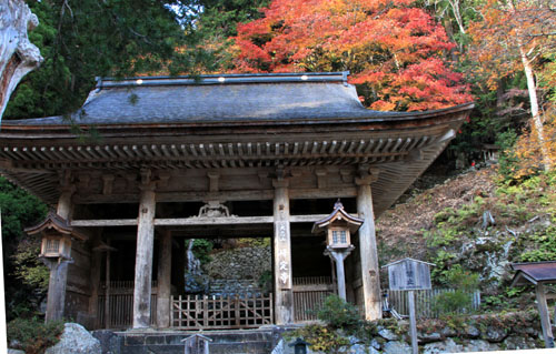紅葉だより11 大悲山峰定寺_e0048413_1713550.jpg