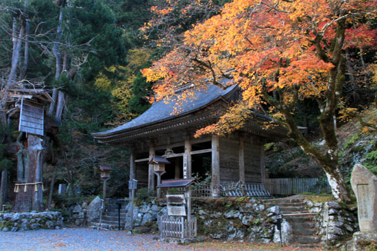 紅葉だより11 大悲山峰定寺_e0048413_17145100.jpg