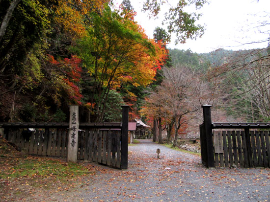 紅葉だより11 大悲山峰定寺_e0048413_171960.jpg