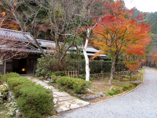 紅葉だより11　大悲山峰定寺_e0048413_172885.jpg