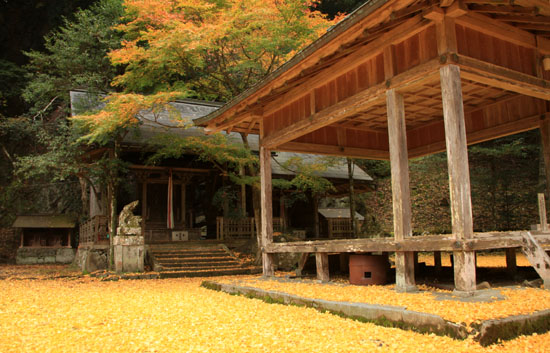 黄葉だより12 落葉神社_e0048413_20425581.jpg