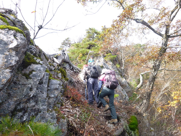 古城跡　杣山　(492.1M)    登頂 編_d0170615_1352272.jpg