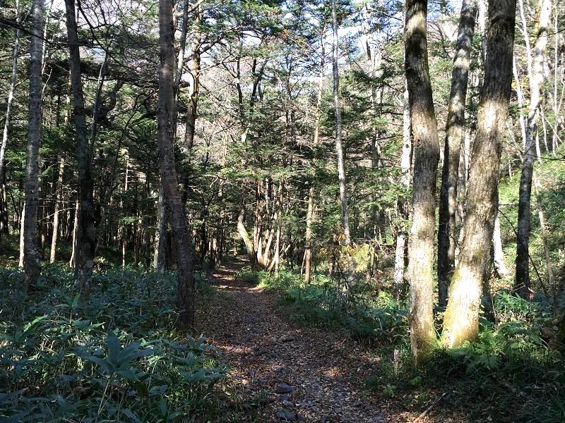 中部山岳　栄枯の歴史をたどる徳本峠越え（霞沢岳K1と明神池）　　Kasumisawadake in Chūbu-Sangaku NP_f0308721_1514784.jpg