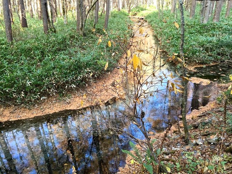 中部山岳　栄枯の歴史をたどる徳本峠越え（霞沢岳K1と明神池）　　Kasumisawadake in Chūbu-Sangaku NP_f0308721_1575739.jpg