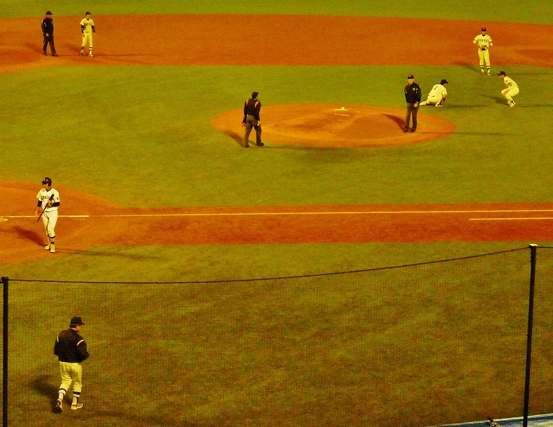 駒澤大(1部最下位)対東洋大(2部優勝) 11月7日 東都大学野球入替戦_b0166128_149286.jpg