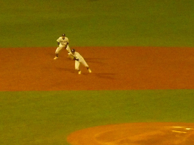 駒澤大(1部最下位)対東洋大(2部優勝) 11月7日 東都大学野球入替戦_b0166128_18381691.jpg