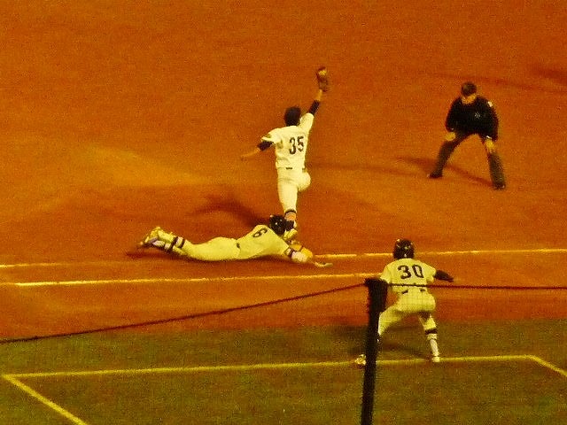 駒澤大(1部最下位)対東洋大(2部優勝) 11月7日 東都大学野球入替戦_b0166128_18383354.jpg