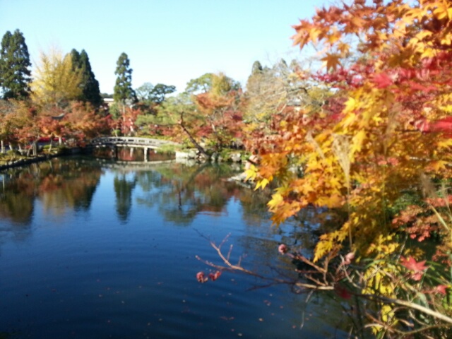 紅葉の京都_b0075429_15295032.jpg