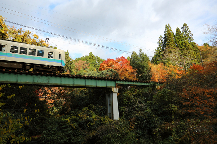 紅葉の叡山電鉄界隈 －白龍園（後編）－_b0169330_14324284.jpg