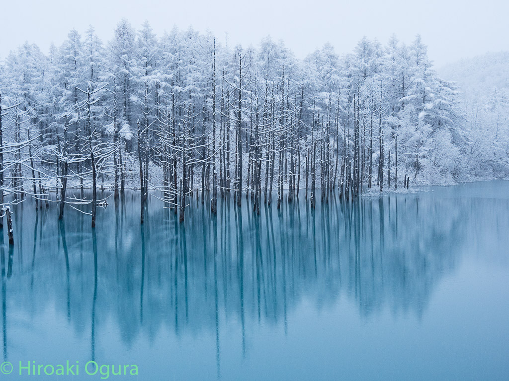 青い池 冬景色 白金の森から
