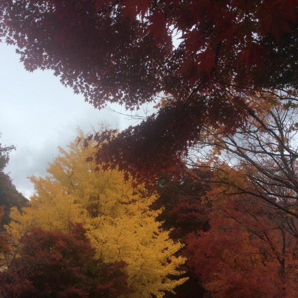 南都留郡富士河口湖町・富士吉田市へ_a0291132_21084444.jpg