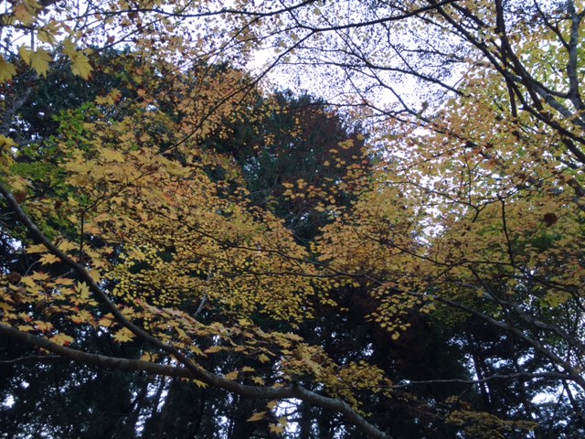 a0048040_2232465.jpg