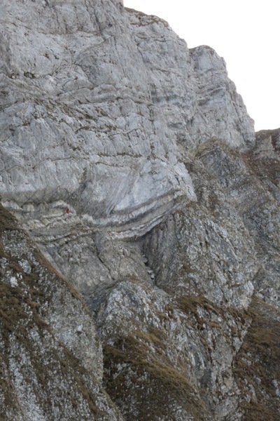 Eigenthalerhof-Tomlishorn-Pilatus_e0356046_05311907.jpg