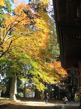f0190950_1017751.jpg