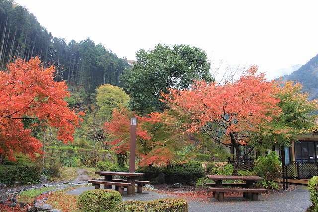 １１月８日　逆打ち遍路　２９番札所・国分寺　２８番札所・大日寺_f0340155_14164676.jpg