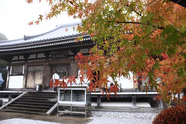 １１月８日　逆打ち遍路　２９番札所・国分寺　２８番札所・大日寺_f0340155_15100108.jpg