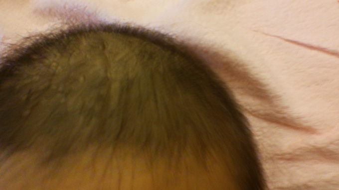 c0127460_07400101.jpg