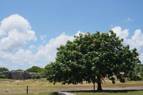 c0351060_21485953.jpg