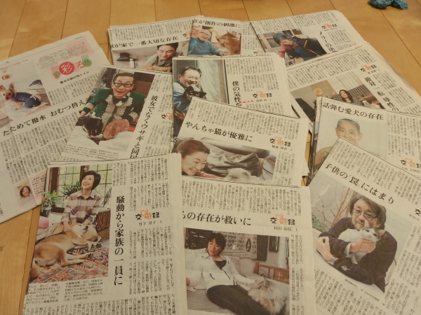 新聞記事の切り抜き_c0357573_15495706.jpg