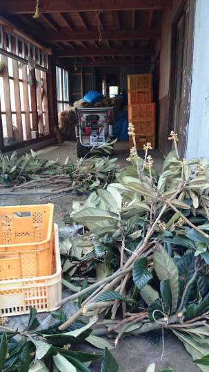 b0224776_14565328.jpeg