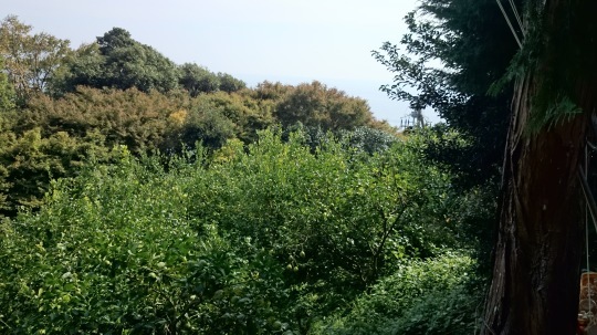 b0224776_14570788.jpeg