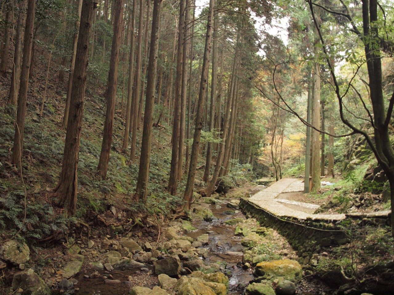 『飛騨川の渓谷美と五宝滝公園の風景』_d0054276_20375942.jpg