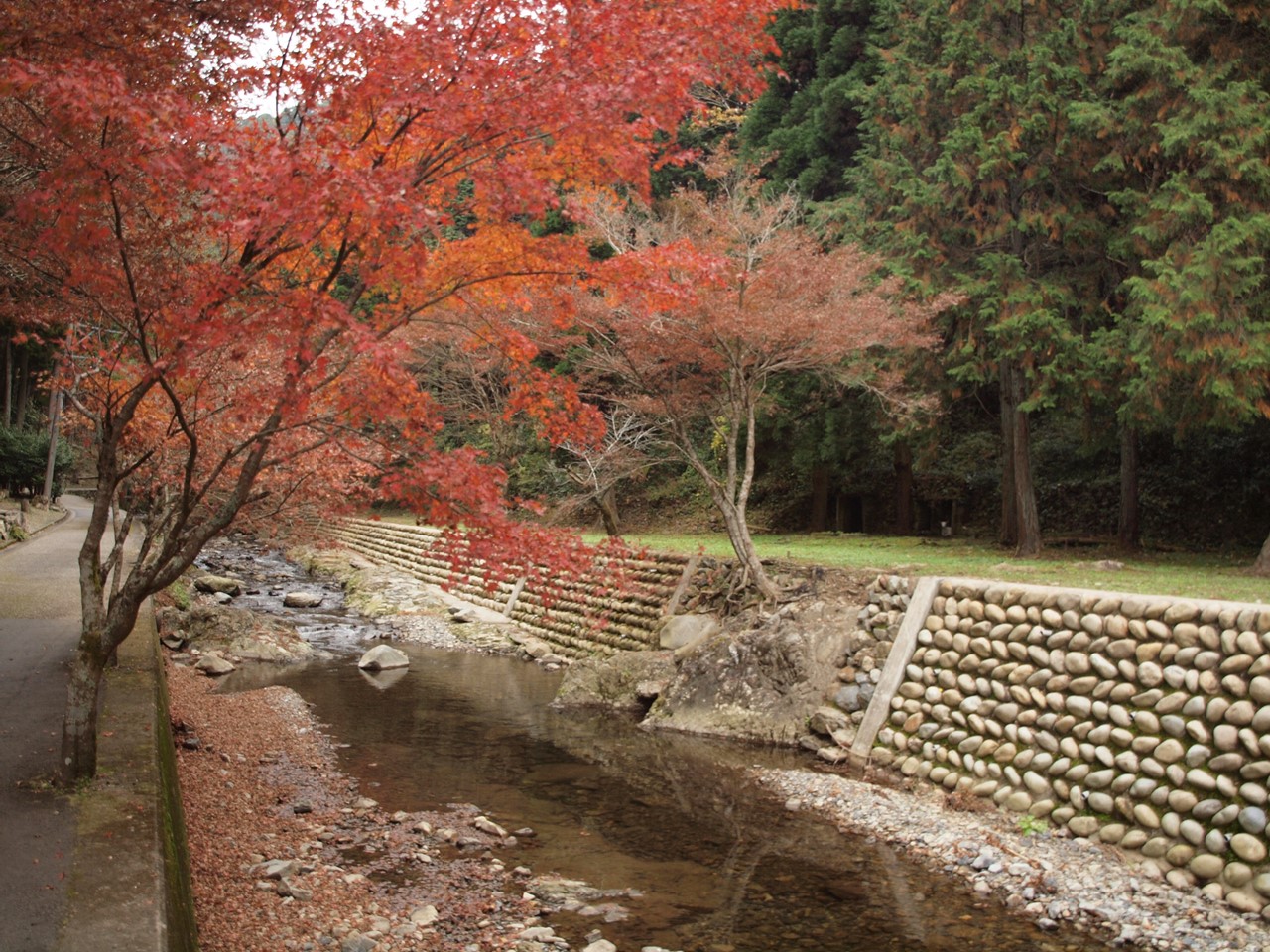 『飛騨川の渓谷美と五宝滝公園の風景』_d0054276_20404739.jpg