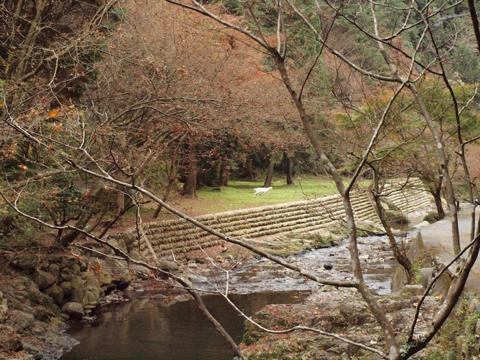 『飛騨川の渓谷美と五宝滝公園の風景』_d0054276_2040772.jpg