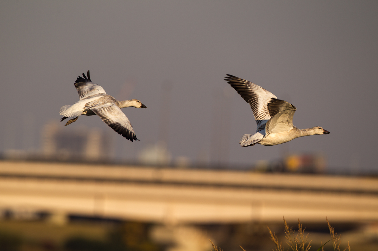 a0052080_15142483.jpg