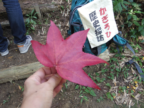 立ち呑み大和西大寺_c0051781_2234296.jpg