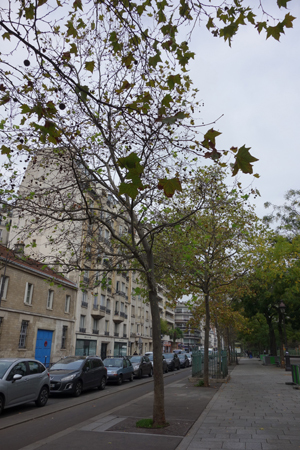 f0307792_20255796.jpg
