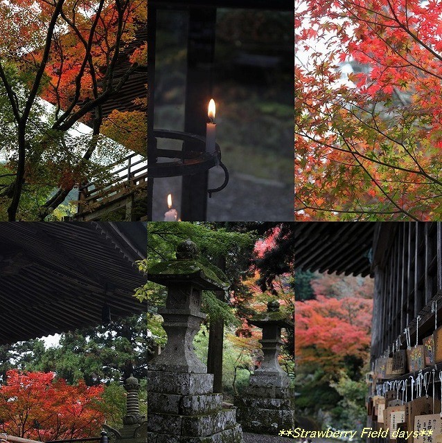 大分旅行　国東半島　両子寺の紅葉_c0087094_15454495.jpg