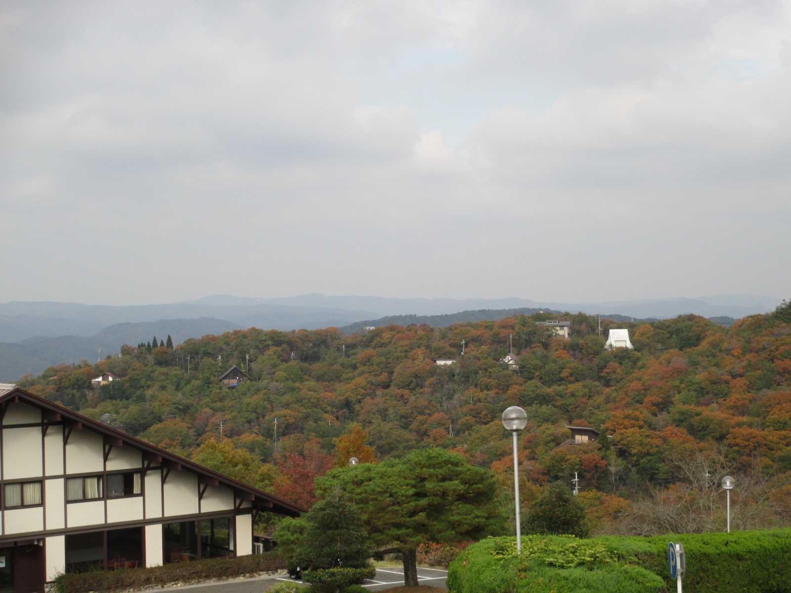 a0206695_10252040.jpg